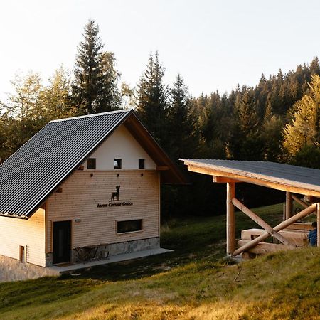 Alpine Cottage Golica Jesenice Exterior photo
